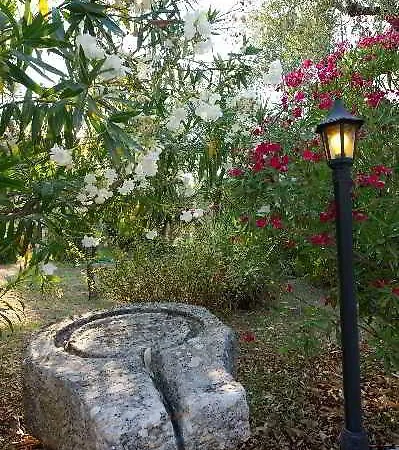 Alomata Hotel Agios Sostis (Zakynthos)